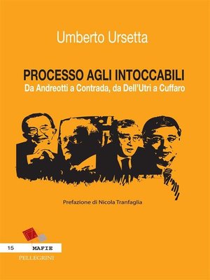 cover image of PROCESSO AGLI INTOCCABILI. Da Andreotti a Contrada, da Dell'Utri a Cuffaro
